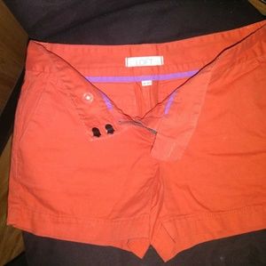 Loft shorts
